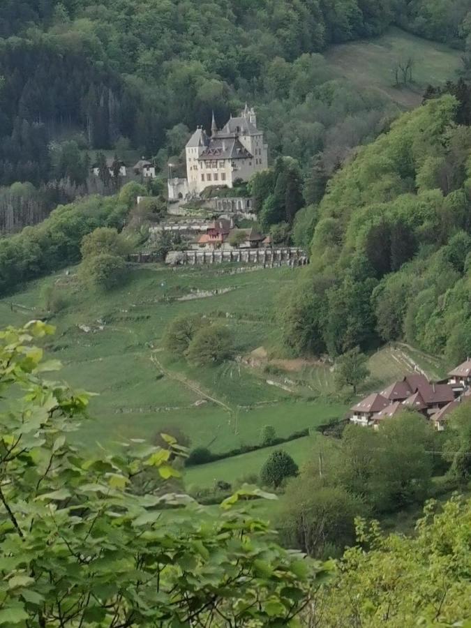 Maisonnette Talloires Exterior foto